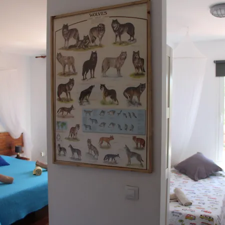 Da Mata Kite&surf House Bed and breakfast 3*